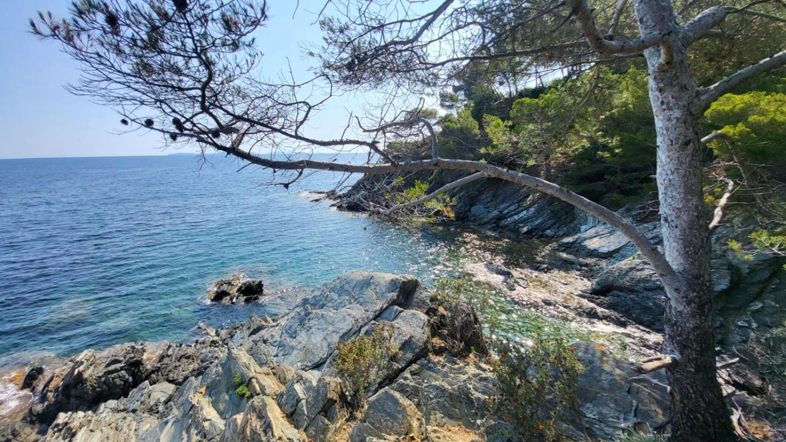 Golfe De Saint Tropez Terrasses De Sylvabelle Gigaro Apartamento La Croix-Valmer